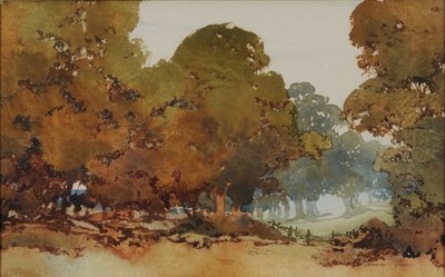 Eucalyptus - William Blamire Young